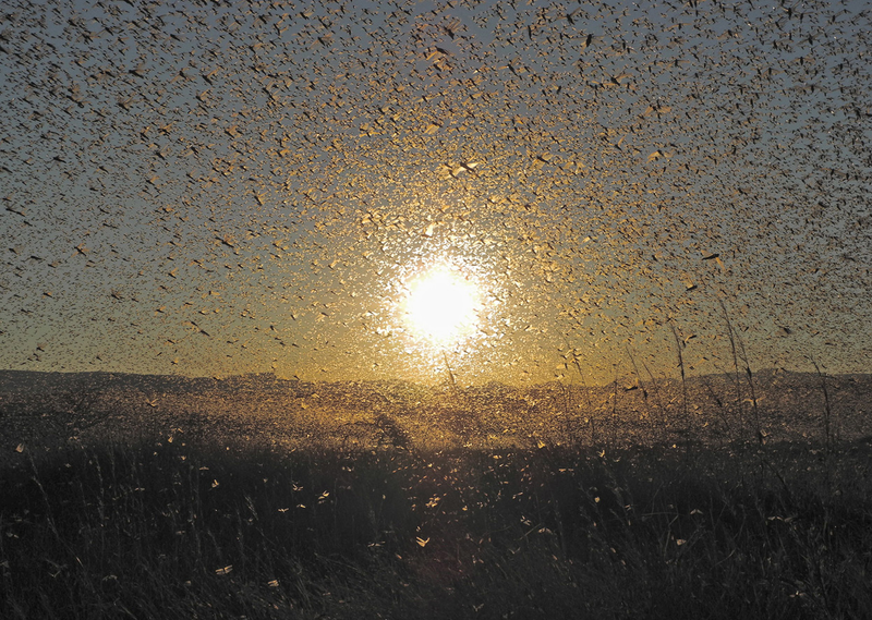 Illustration for article titled Holy crap, these entries from Nat Geo's 2012 Photo Contest are absolutely gorgeous